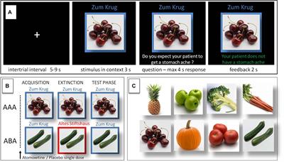 Effects of Noradrenergic Stimulation Upon Context-Related Extinction Learning Performance and BOLD Activation in Hippocampus and Prefrontal Cortex Differ Between Participants Showing and Not Showing Renewal